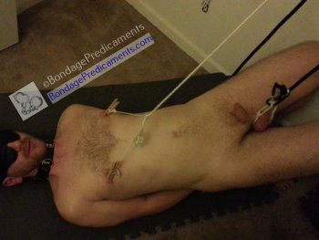 CBT TT Predicament Bondage