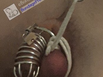 Predicament Bondage Clue