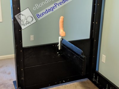 Dildo Predicament