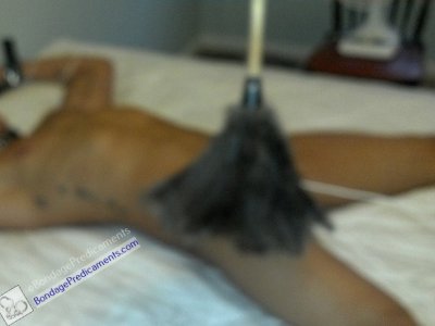 Feather Duster Pendulum Torture